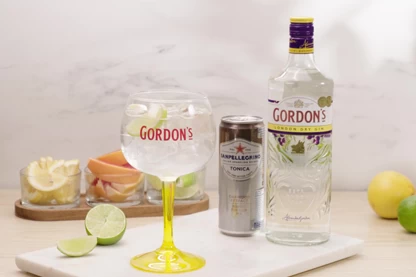 Gordon's London Dry & Tonic